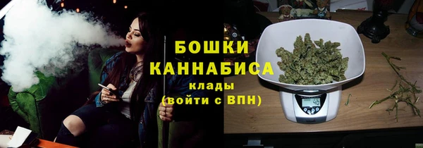 дмт Лиски