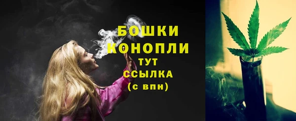 дмт Лиски