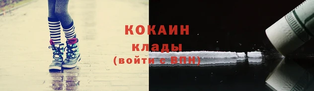 дмт Лиски
