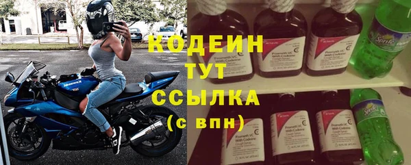 дмт Лиски