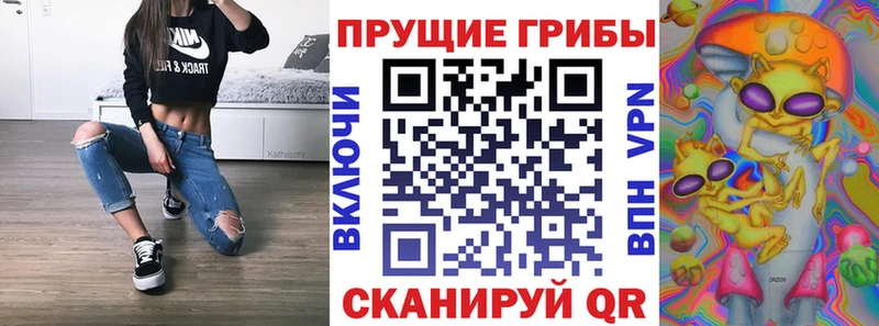 купить наркотик  Самара  Галлюциногенные грибы Cubensis 