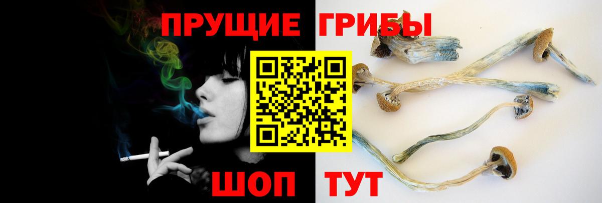 Галлюциногенные грибы GOLDEN TEACHER  Вход с VPN  Галлюциногенные грибы мухоморы  Самара 